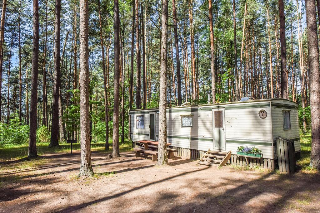 Camping Guest house